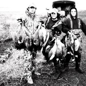 Meet your Posher, Bruce